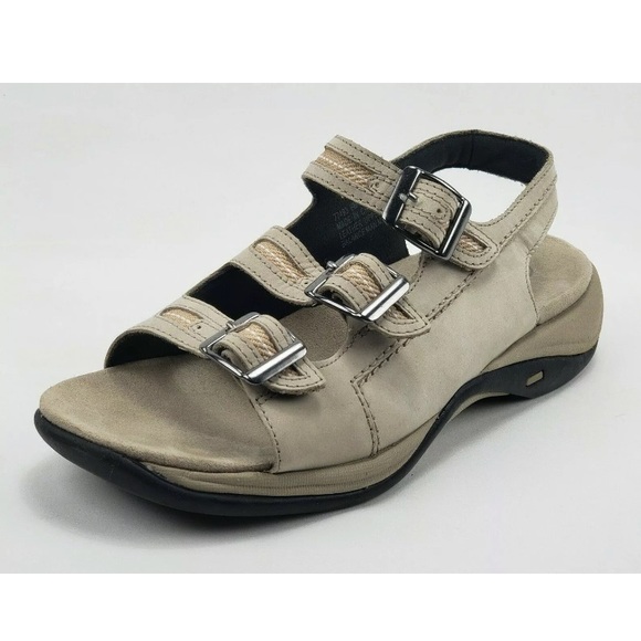 clarks springers